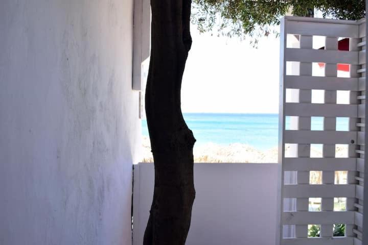 Meltemi Apartment By Opus Agios Stefanos  Exterior photo